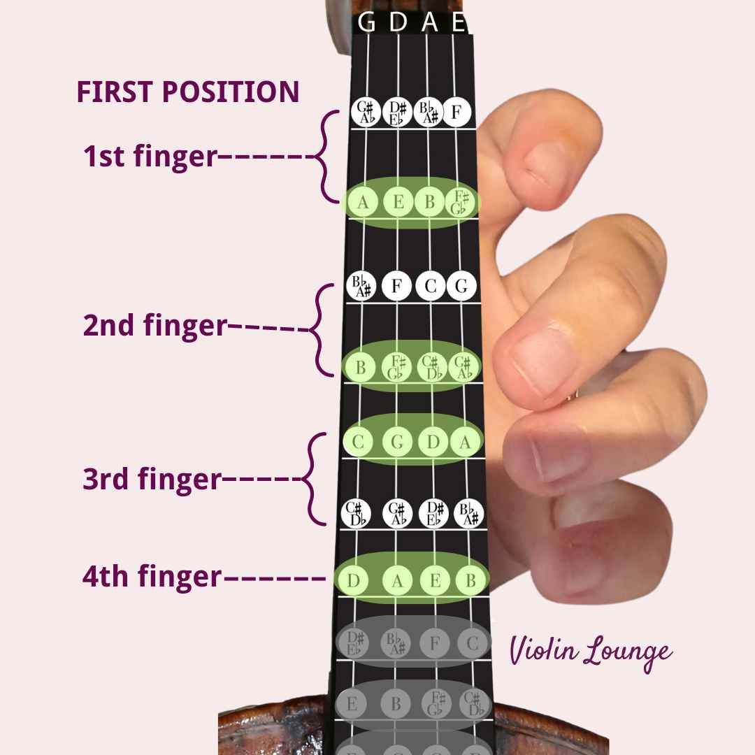 小提琴初學者學習